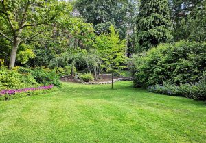 Optimiser l'expérience du jardin à Saint-Bonnet-Briance